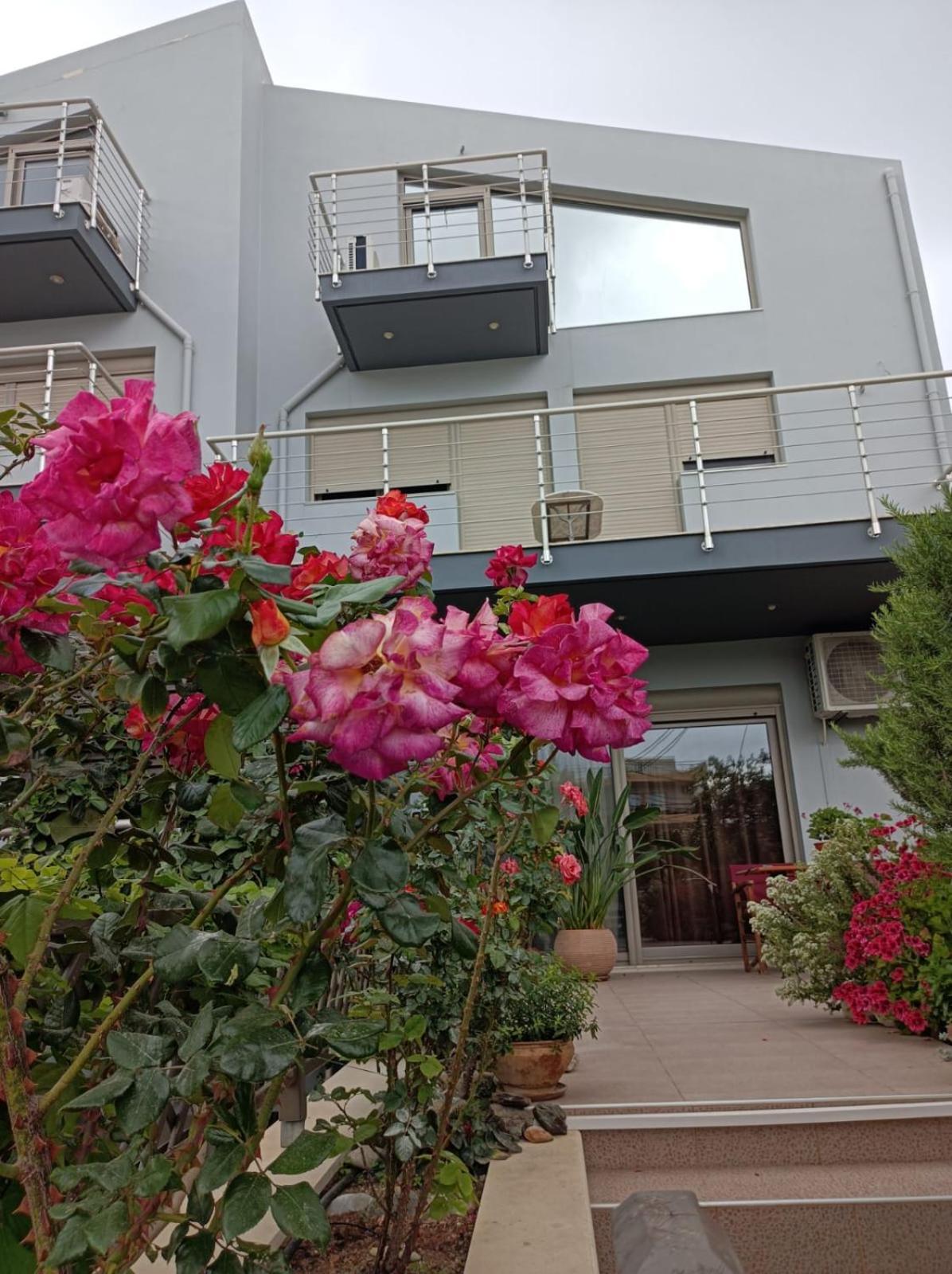 דירות הרקליון Rose מראה חיצוני תמונה